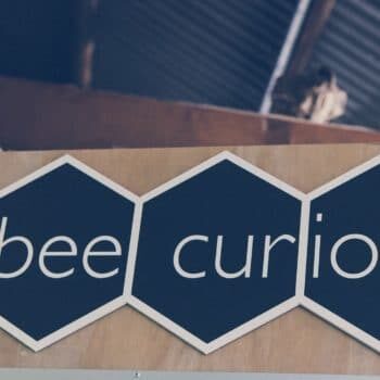 BeeCurious