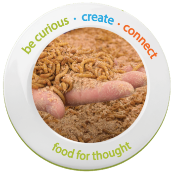 National Science Week Slide mealworms v3