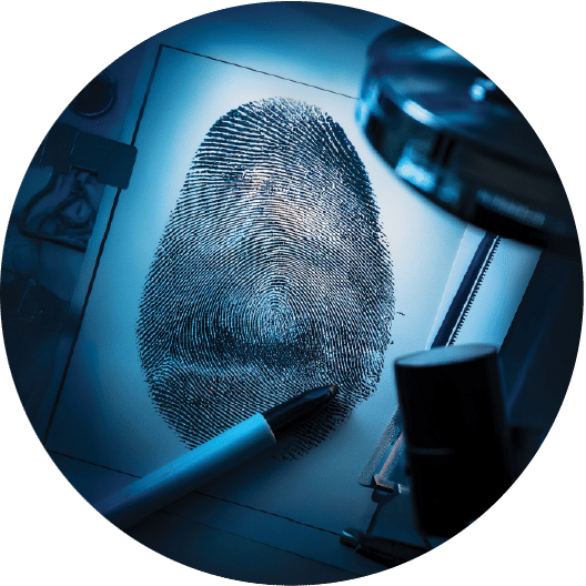 apprentice-detective-twisted-science